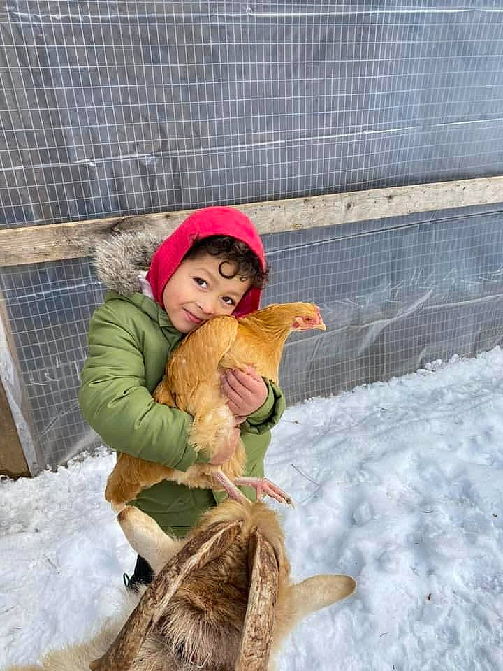 Sebastian is registered to the contest to win money with this photo: child, duck, fence, freezing, fun, fur, hat, headwear, jacket, leisure, livestock, mesh, person, play, playing_in_the_snow, recreation, sitting, sled, snow, toddler