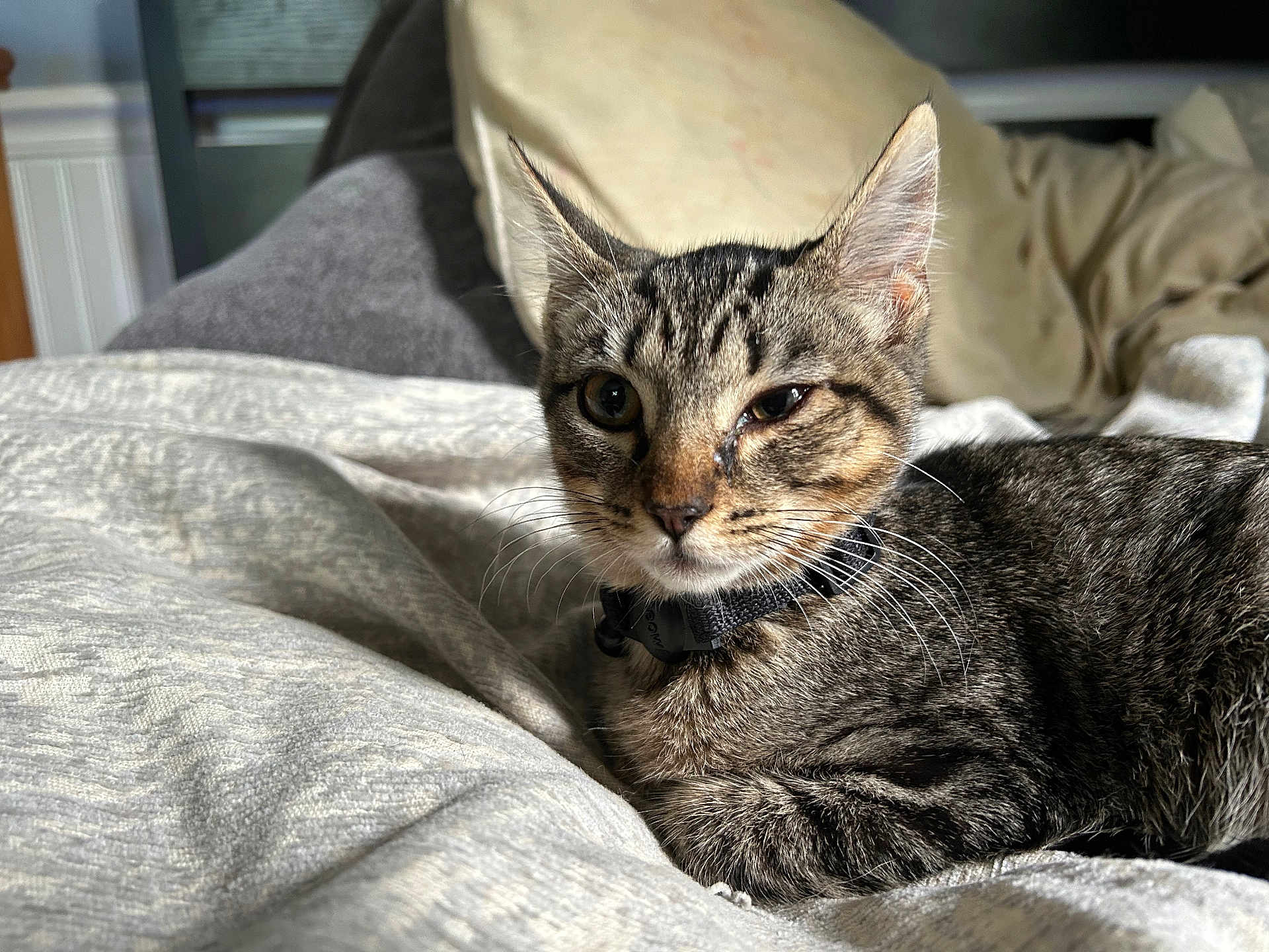 Freyja