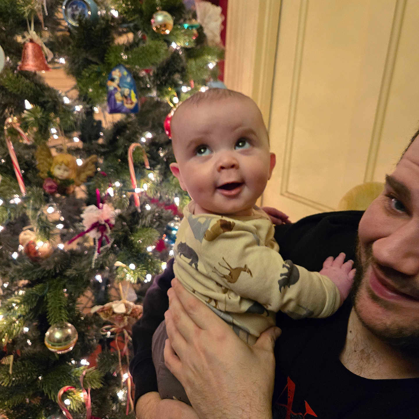 Vincent Or Vinny joined the competition — help win amazing prizes! adult, baby, celebration, child, christmas_tree, decorations, face, festive, hands, happy, holding, holiday, indoor, joy, lights, ornaments, pajamas, person, smile, tree