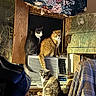 cat, indoor, air_conditioner, furniture, floral_pattern, wood, window, curiosity, clutter, warm_lighting, orange_cat, black_and_white_cat, tortoiseshell_cat, fabric, blanket, texture, domestic_animal, pet, resting, cozy