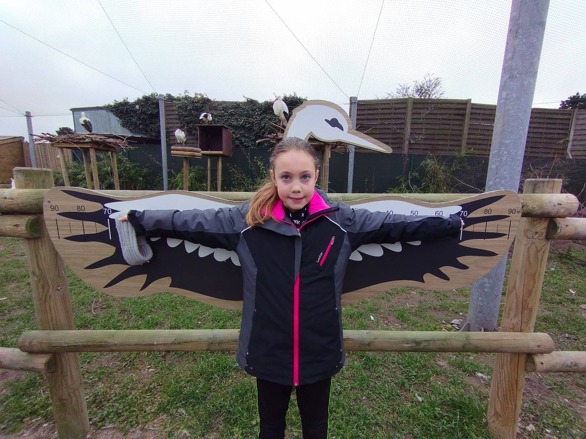 Maëlya a rejoint le concours — aidez-le/la à gagner de superbes lots ! bird, car, cloud, event, fence, fun, grass, landscape, luxury_vehicle, person, plant, pole, sky, smile, split_rail_fence, tree, vehicle, wood