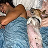 Jelly joined the competition — help win amazing prizes! arm, bed, belly_up, blanket, blue_blanket, collar, cozy, dog, face, fur, hair, indoor, nap, paw, person, pillow, relaxed, sheet, skin, sleeping