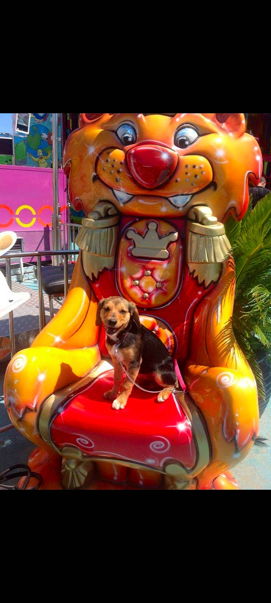 Chipie a rejoint le concours — aidez-le/la à gagner de superbes lots ! art, building, carnivore, chair, companion_dog, dog, dog_breed, dog_supply, event, fawn, fun, holiday, interior_design, leisure, ornament, pet_supply, plant, recreation, sporting_group, toy