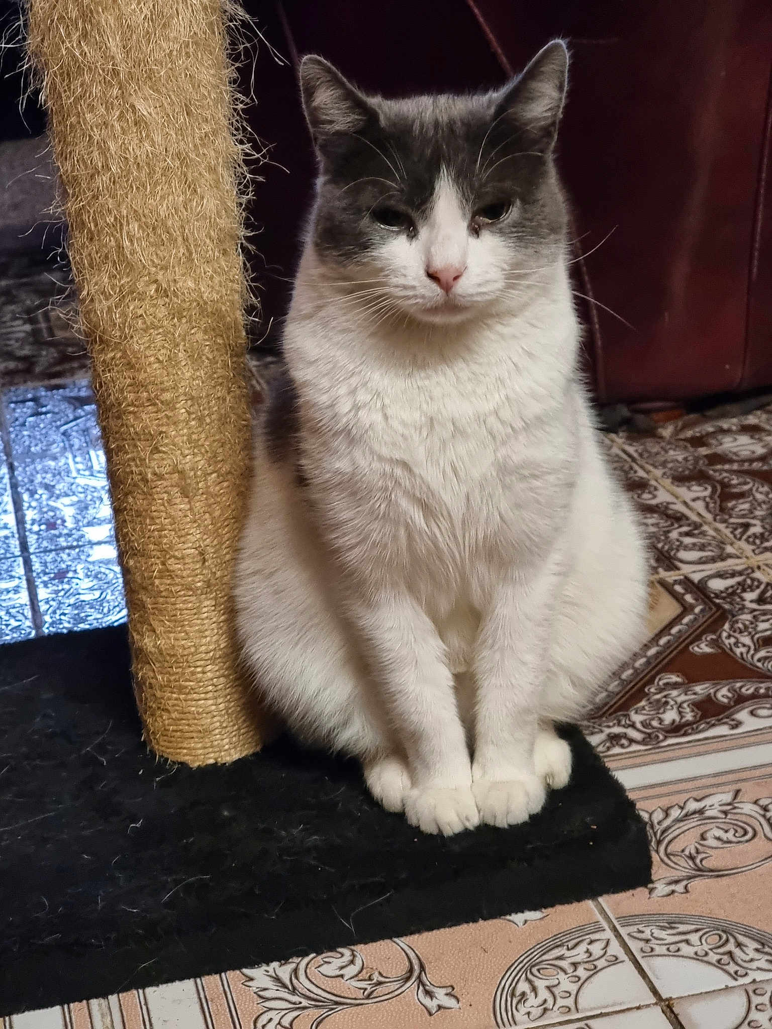 Pépino