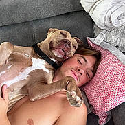 Tina participe au concours pour gagner de l'argent avec cette photo : dog, person, couch, pillow, blanket, shirtless, relaxing, indoor, pet, canine, companion, smiling, face, paw, resting, cozy, home, comfort, friendship, closeup