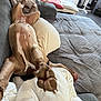 Tina participe au concours pour gagner de l'argent avec cette photo : dog, paw, couch, blanket, pillow, living_room, relaxed, stretching, brown_dog, domestic_animal, pet, indoor, cozy, furniture, quilted_blanket, casual, sleeping, canine, comfort, resting