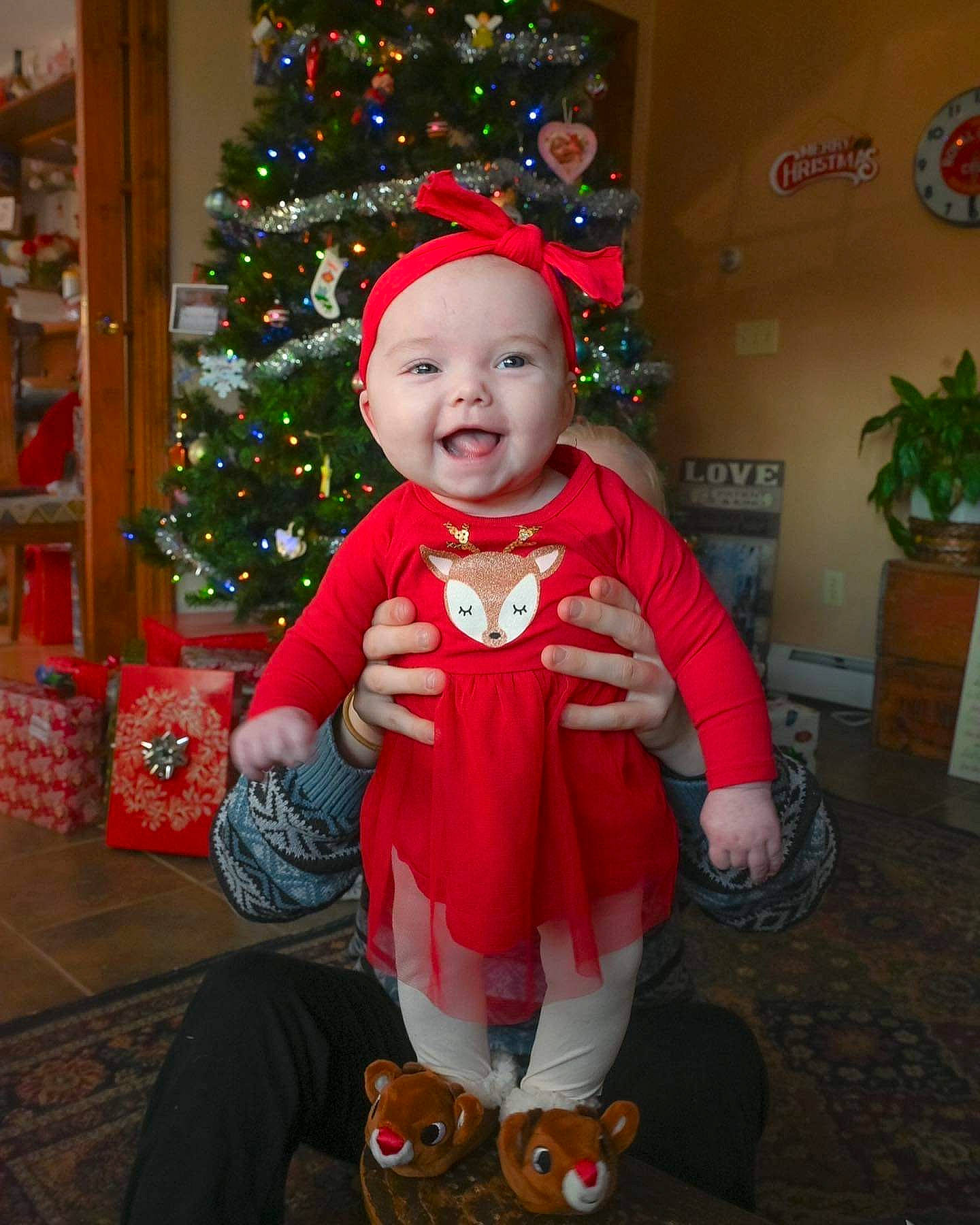 June joined the competition — help win amazing prizes! baby, baby_toddler_clothing, child, christmas, christmas_decoration, christmas_ornament, christmas_tree, event, flooring, flowerpot, fun, happy, headwear, holiday, holiday_ornament, houseplant, lap, ornament, person, plant