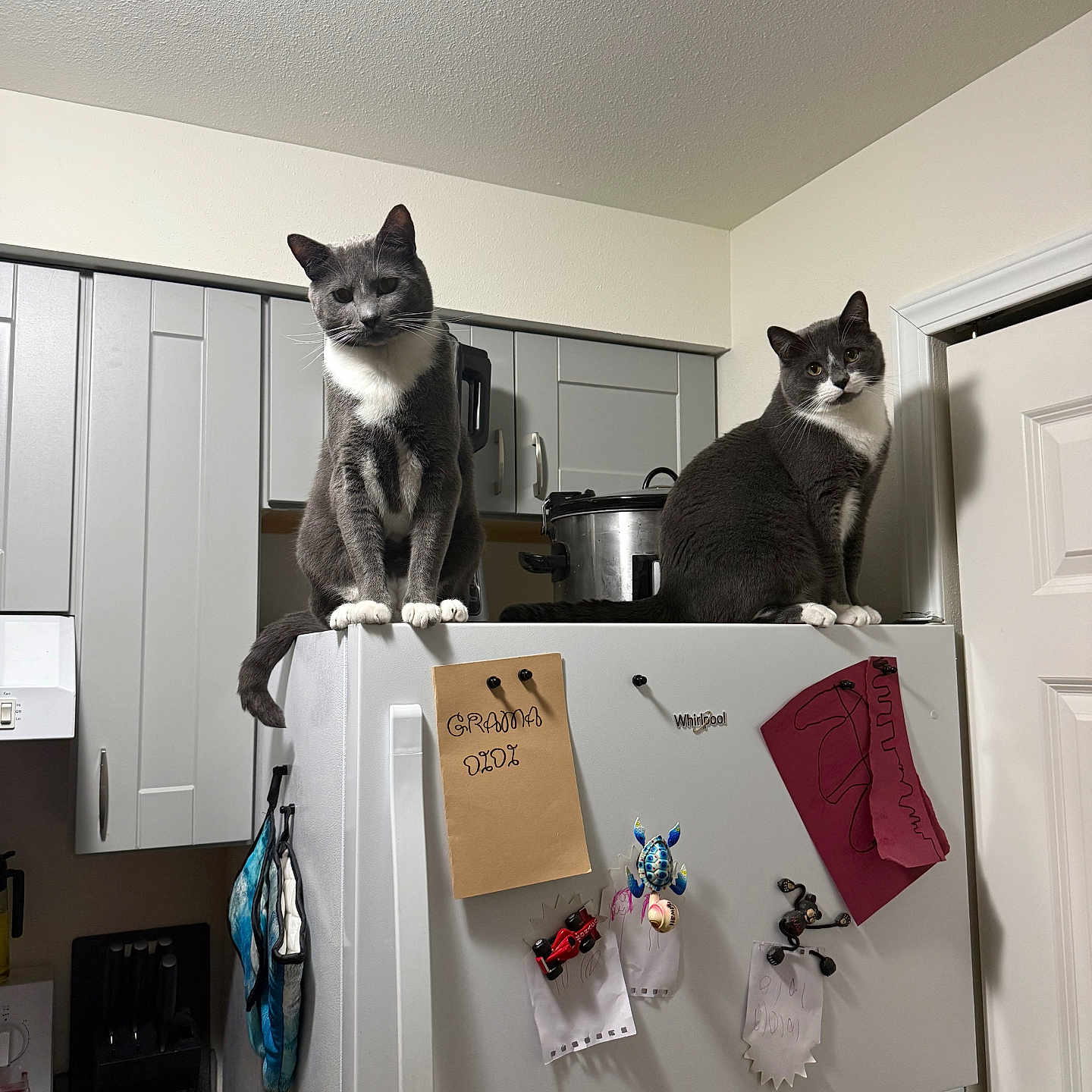 Tom And Jerry