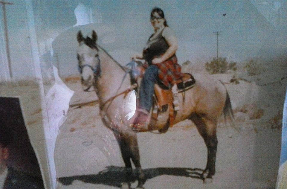 Reno joined the competition — help win amazing prizes! animal_sports, art, bridle, equestrianism, horse, horse_harness, horse_supplies, horse_tack, horse_trainer, mane, mare, pack_animal, painting, recreation, rein, saddle, stallion