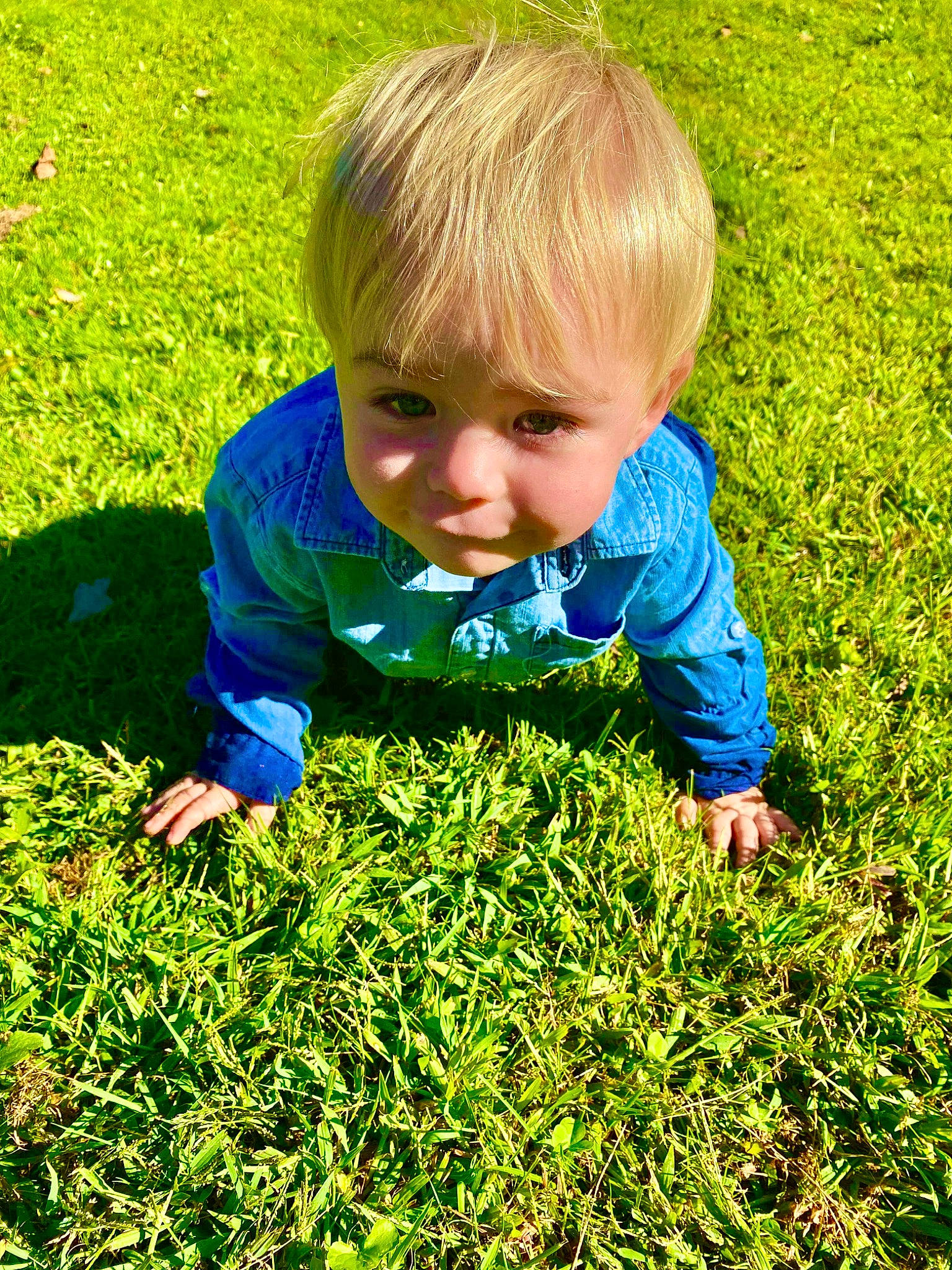 Landen is registered to the contest to win money with this photo: baby, baby_toddler_clothing, child, electric_blue, flooring, fun, garden, gardening, grass, grass_family, grassland, groundcover, happy, lawn, leaf, meadow, people_in_nature, person, plant, terrestrial_plant