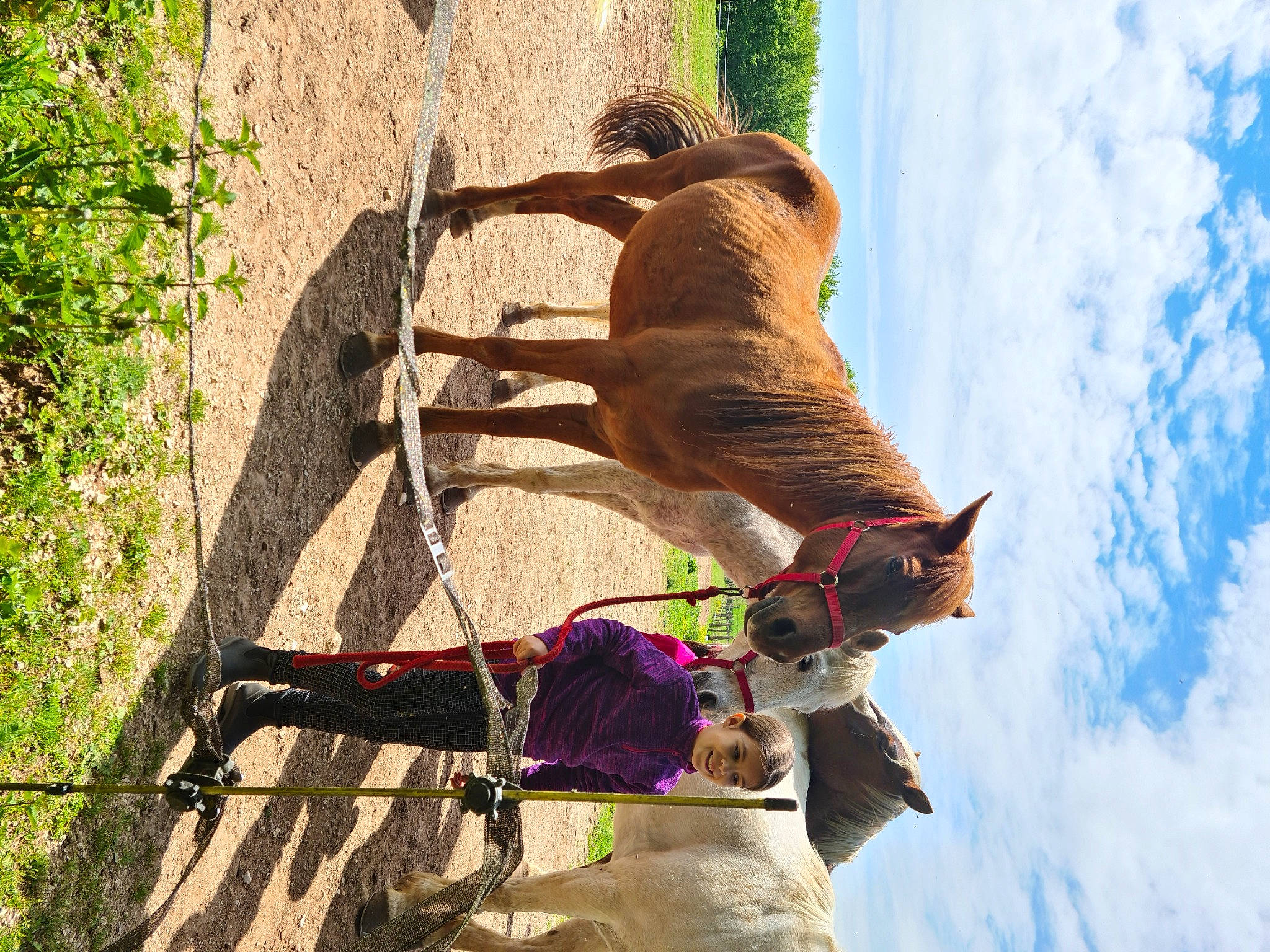 Kandyce a rejoint le concours — aidez-le/la à gagner de superbes lots ! adventure, bit, bridle, cloud, dog, fawn, fun, horse_tack, joy, landscape, leash, leisure, pack_animal, person, plant, recreation, rein, sky, sorrel, tree