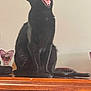 black_cat, cat, yawning, pet, indoor, wooden_cabinet, hairbrush, decorative_glass, feline, animal, mouth_open, teeth, tongue, sitting, furniture, domestic, cute, home, relaxed, whiskers