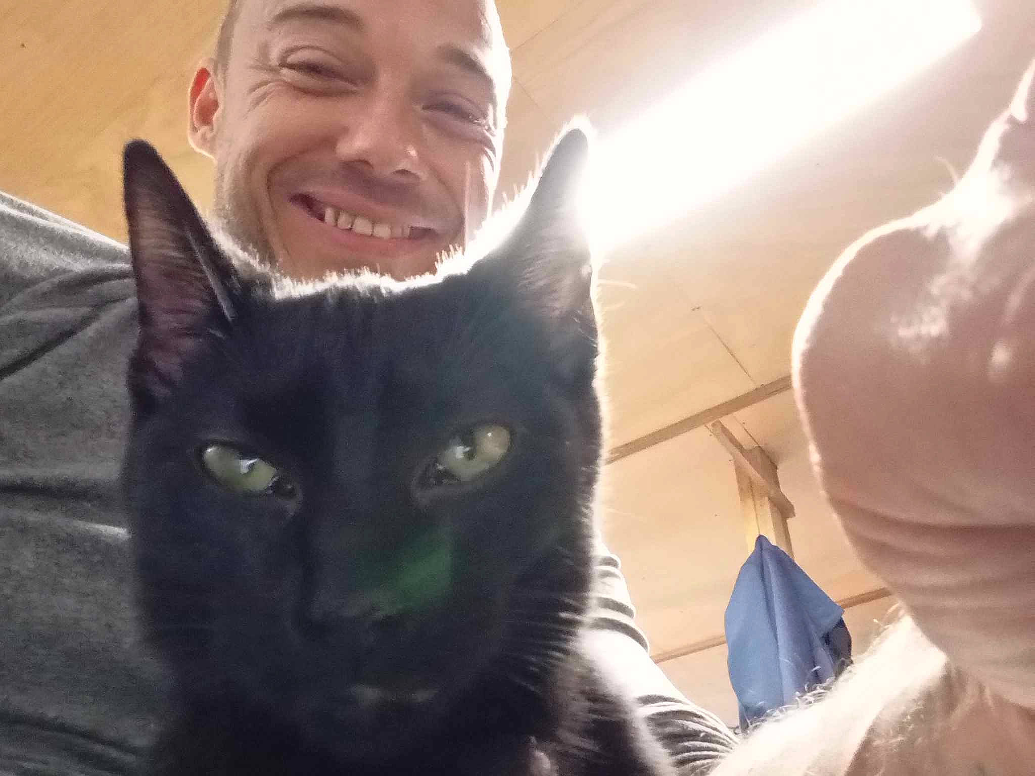 Deuce Deuce joined the competition — help win amazing prizes! black_cat, carnivore, cat, domestic_short_haired_cat, ear, eye, eyewear, felidae, fur, gesture, happy, head, jaw, selfie, sky, small_to_medium_sized_cats, smile, snout, whiskers, window