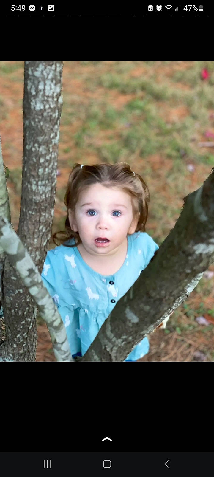 Lily'Anna joined the competition — help win amazing prizes! blond, branch, eye, face, flash_photography, forest, fun, grass, hair, happy, head, lip, people_in_nature, person, plant, surprise, toddler, tree, trunk, twig