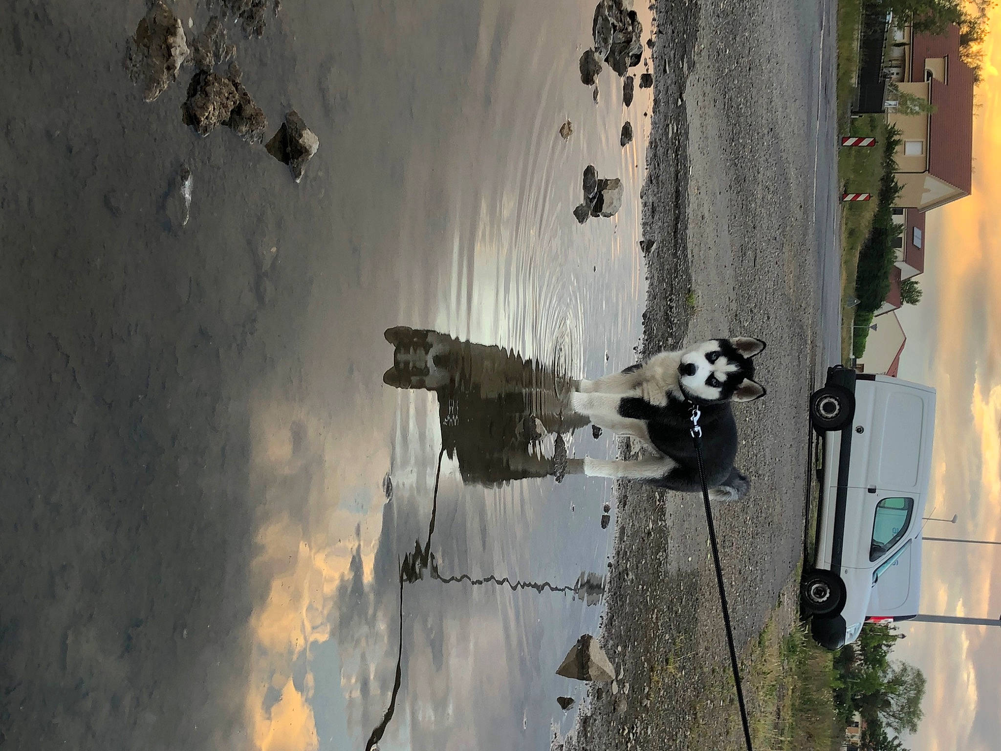 Attila participe au concours pour gagner de l'argent avec cette photo : concrete, rust, wall