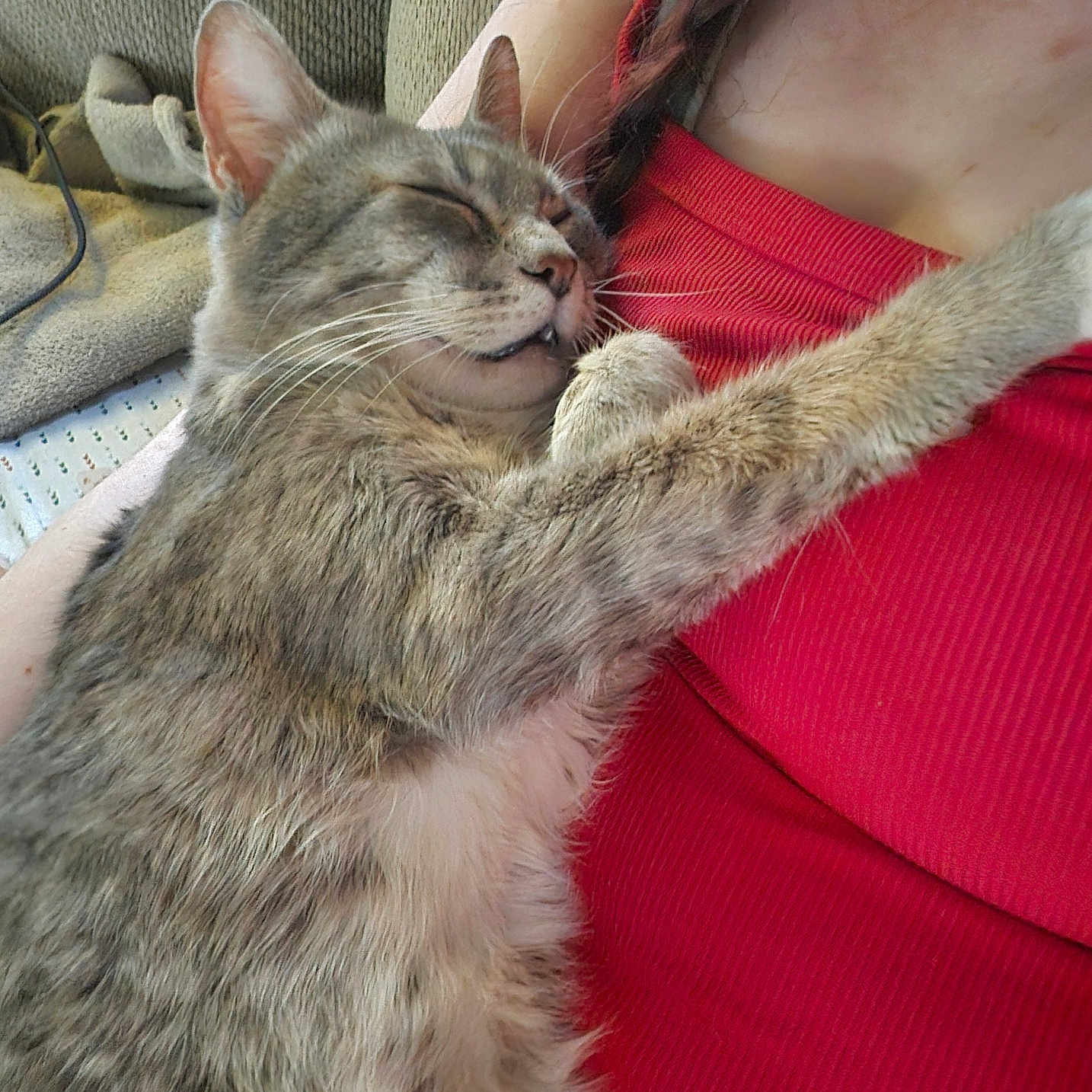 Baby