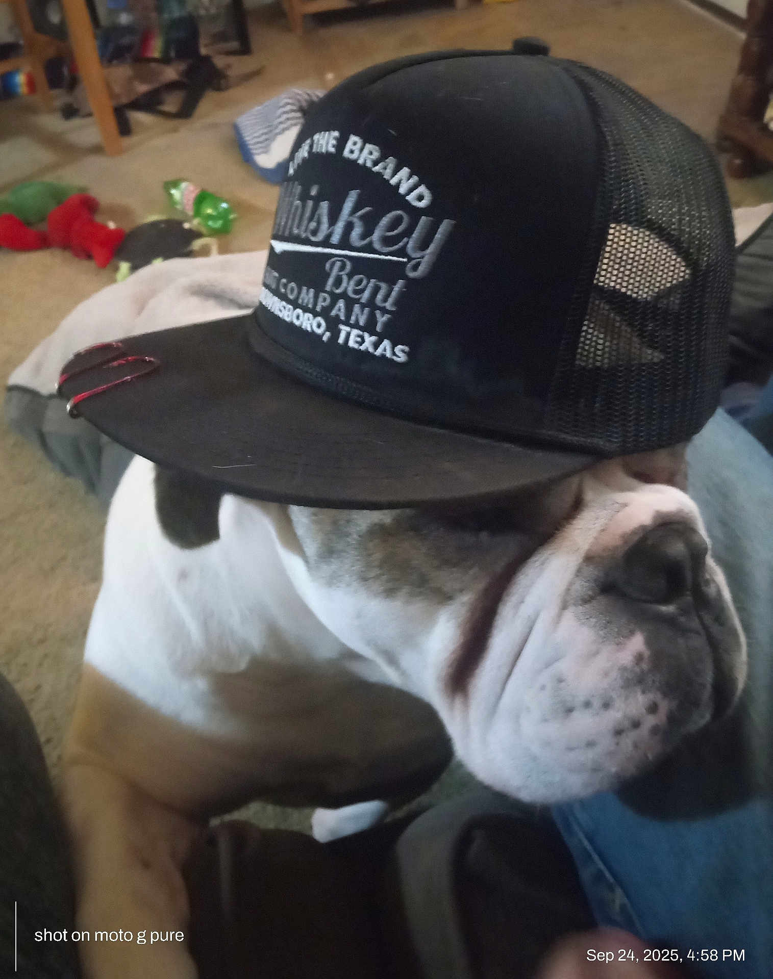 Diesel