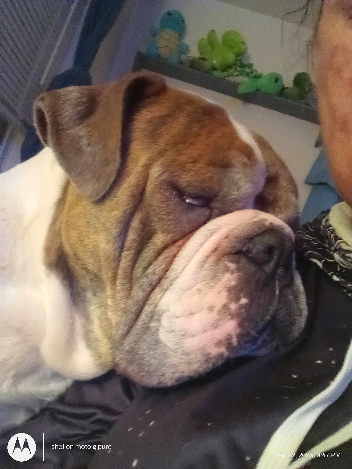 Diesel