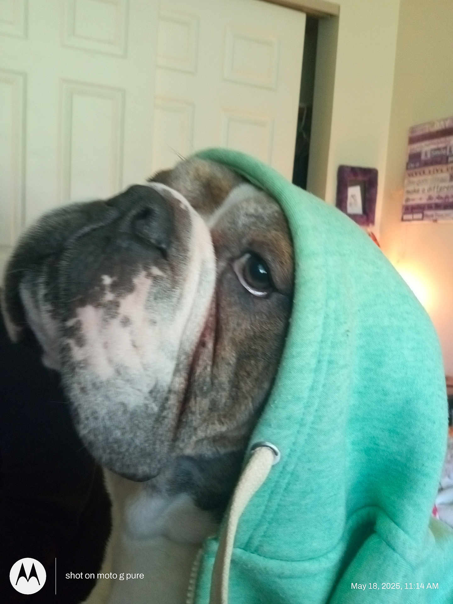 Diesel