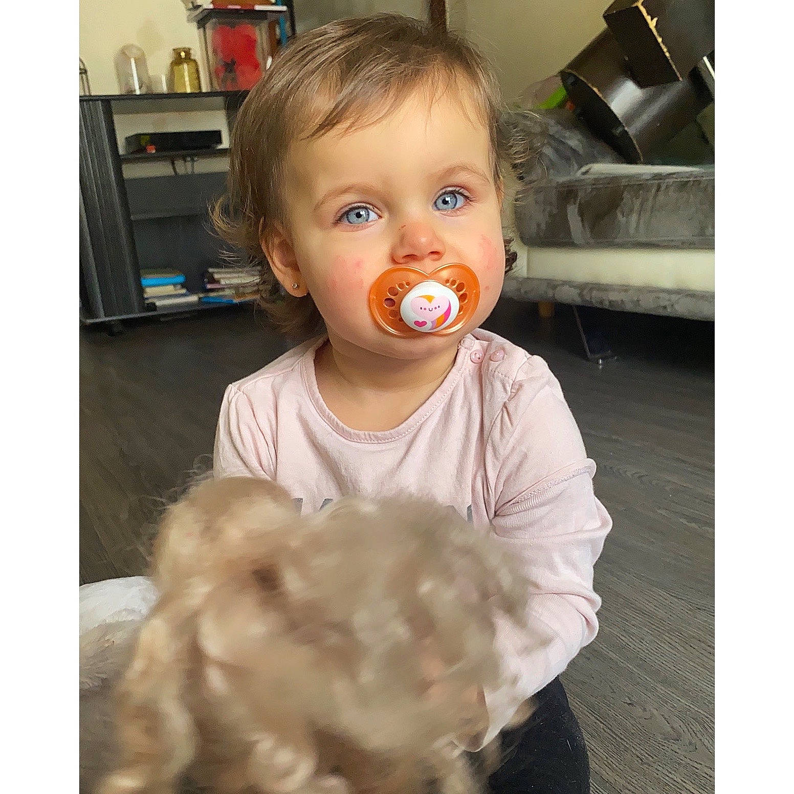 Louanna participe au concours pour gagner de l'argent avec cette photo : baby, cheek, child, eye, face, fun, hair, happy, head, home_appliance, iris, kitchen_appliance, mouth, nose, person, play, product, room, sitting, toddler