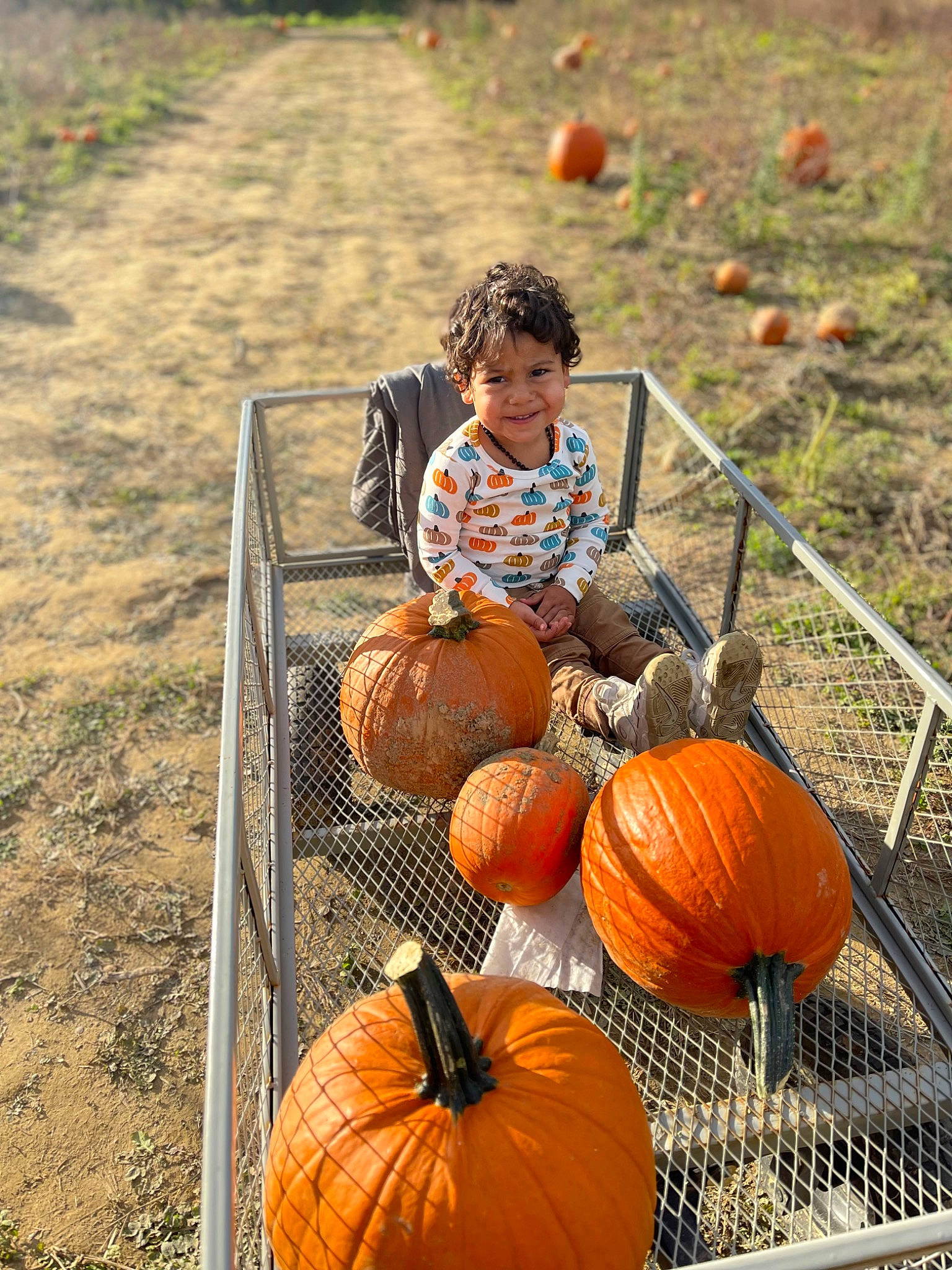 Elias joined the competition — help win amazing prizes! agriculture, calabaza, cucurbita, field, fruit, gourd, grass, happy, joy, leisure, local_food, natural_foods, people_in_nature, person, plant, produce, pumpkin, soil, squash, vegetable