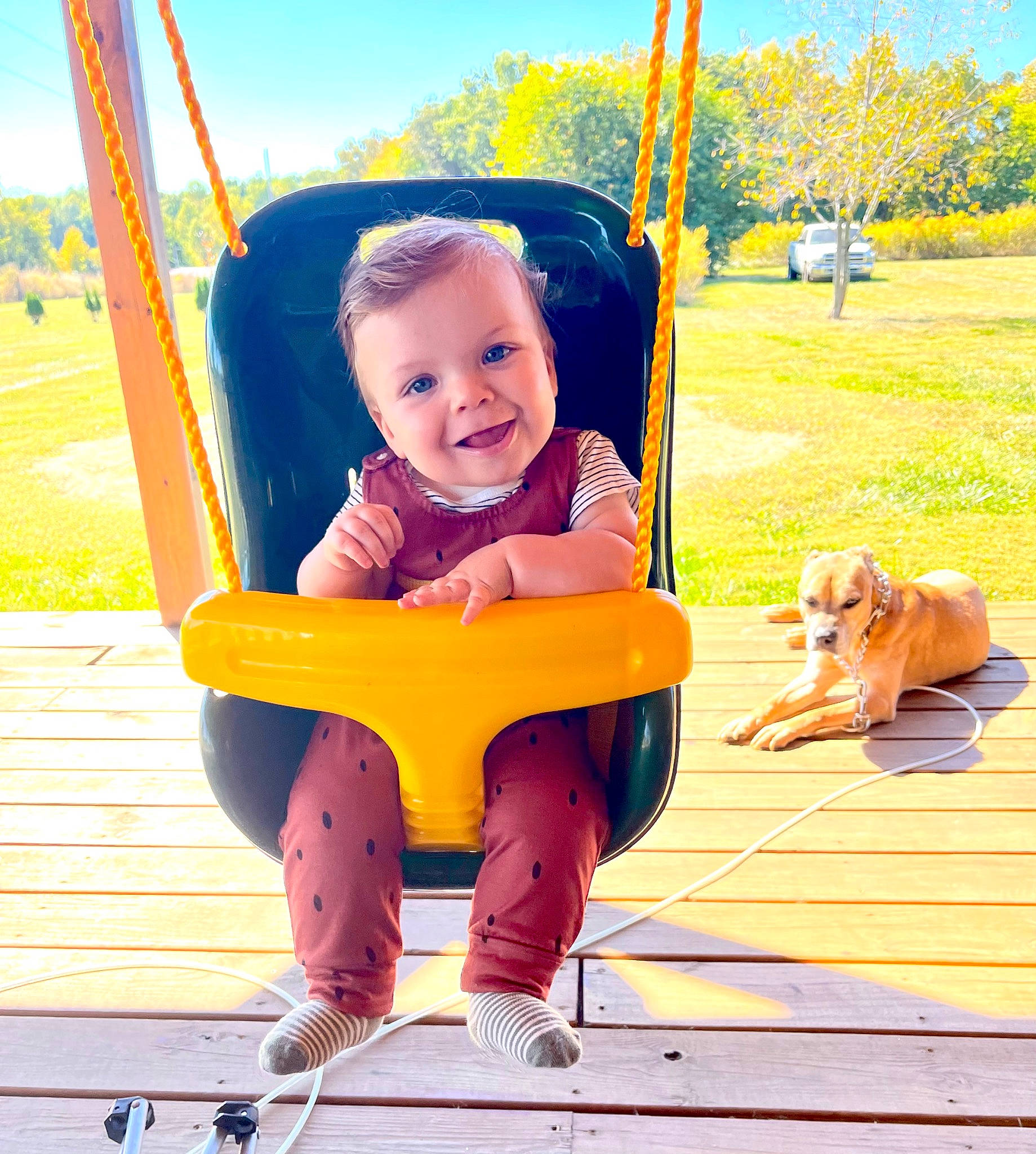 Waylon joined the competition — help win amazing prizes! baby, baby_toddler_clothing, child, dog, fun, grass, happy, joy, leisure, outdoor_play_equipment, person, plant, product, public_space, recreation, sky, smile, summer, toddler, travel