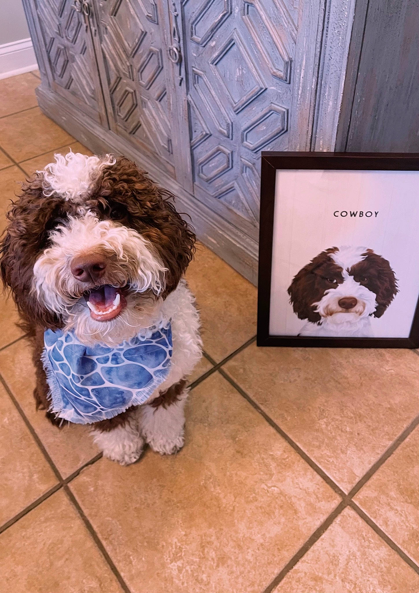 Cowboy joined the competition — help win amazing prizes! art, carnivore, companion_dog, dog, dog_breed, dog_collar, dog_supply, floor, flooring, fur, hardwood, mammal, picture_frame, rectangle, snout, sporting_group, terrier, toy_dog, water_dog, wood