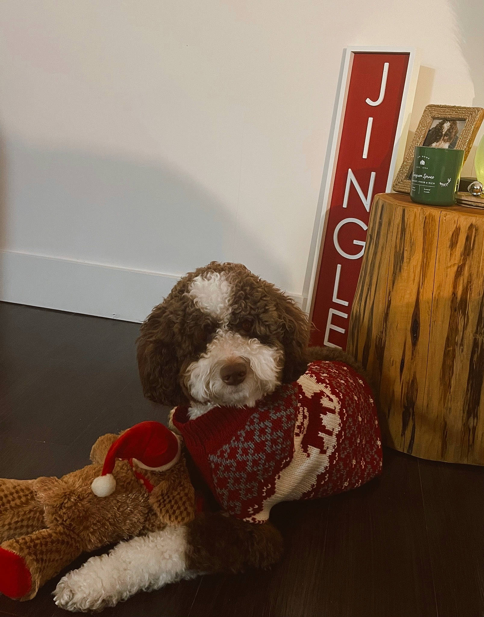 Cowboy joined the competition — help win amazing prizes! box, carmine, carnivore, christmas, companion_dog, dog, dog_breed, dog_clothes, flooring, fur, liver, non_sporting_group, plush, publication, santa_claus, stuffed_toy, toy, toy_dog, wood, wool