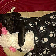 Owen participe au concours pour gagner de l'argent avec cette photo :