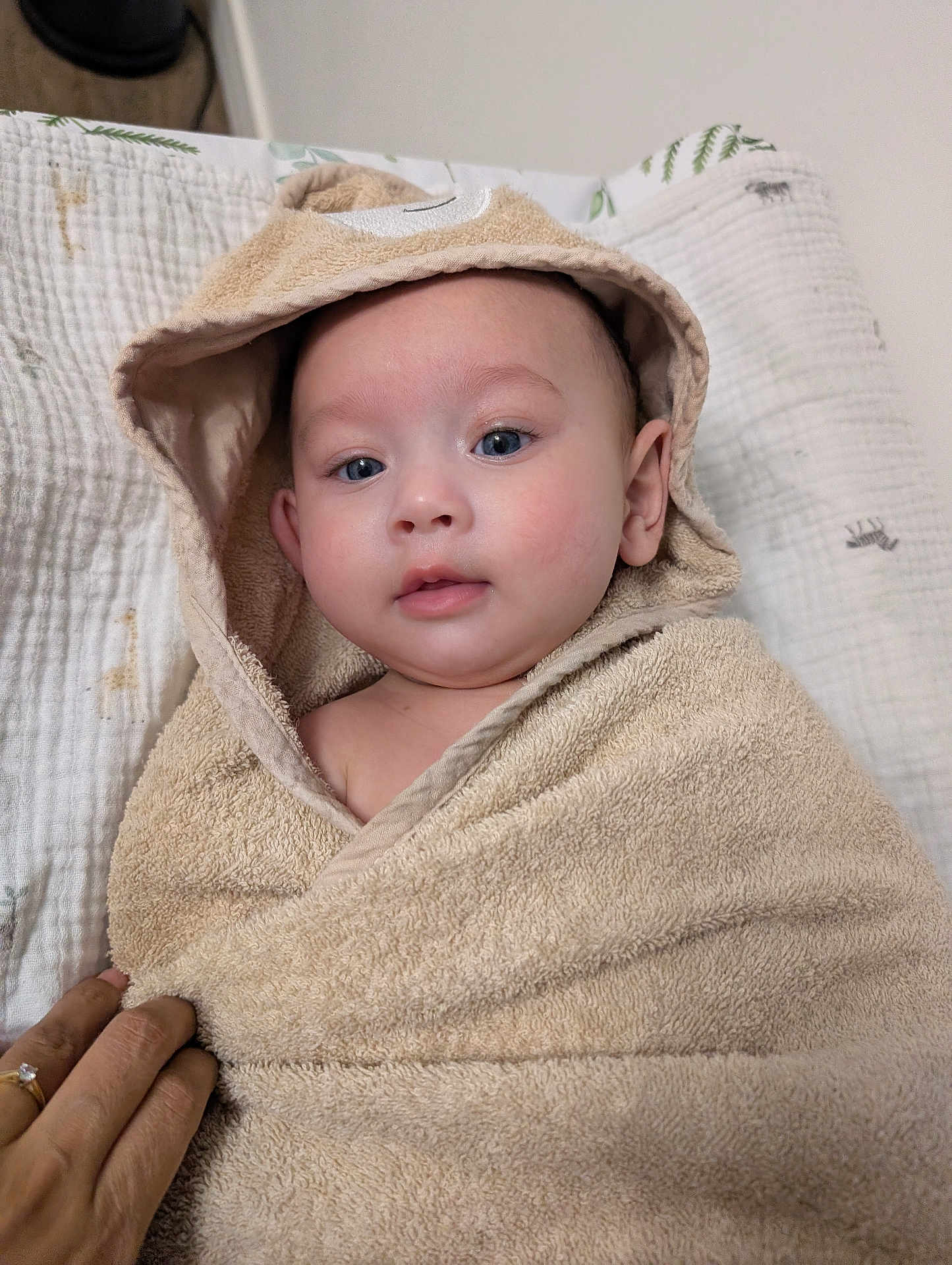 Nathaniel joined the competition — help win amazing prizes! baby, towel, hooded_towel, child, indoor, blue_eyes, face, hand, blanket, cute, wrapped, infant, portrait, soft_texture, skin, person, looking, newborn, young_child, cozy