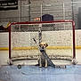 dog, hockey_stick, hockey_goal, ice_rink, sports_equipment, yellow_labrador, pet, animal, indoor, net, goal, floor, board, scoreboard, animal_portrait, canine, playing, waiting, cute, animal_in_sport