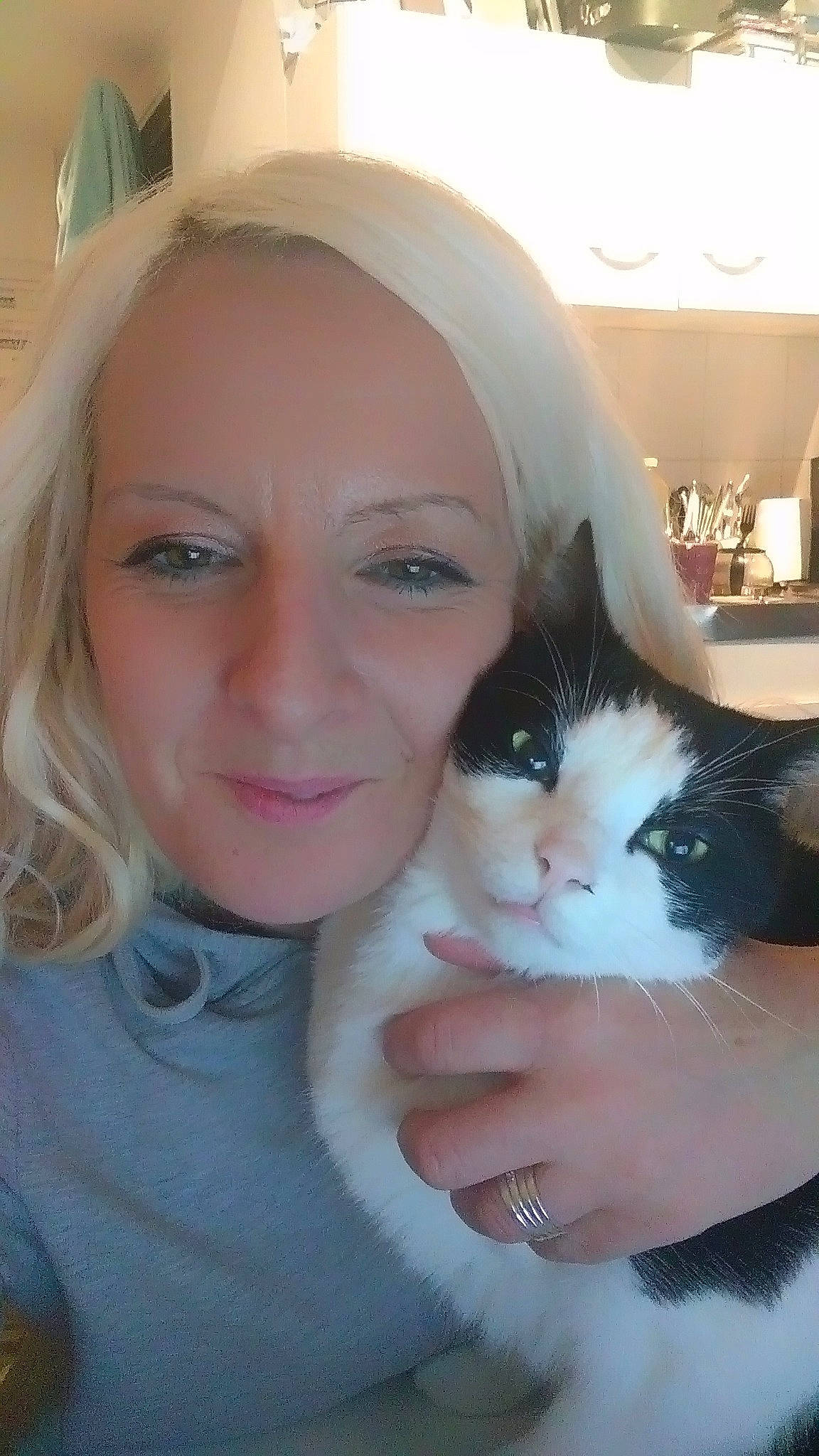 Oreo a rejoint le concours — aidez-le/la à gagner de superbes lots ! black_hair, carnivore, cat, cheek, ear, eye, eyebrow, felidae, forehead, fur, head, long_hair, nose, person, selfie, skin, small_to_medium_sized_cats, smile, turkish_van, whiskers