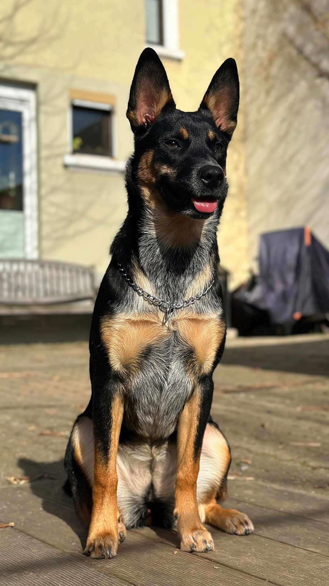 Jo