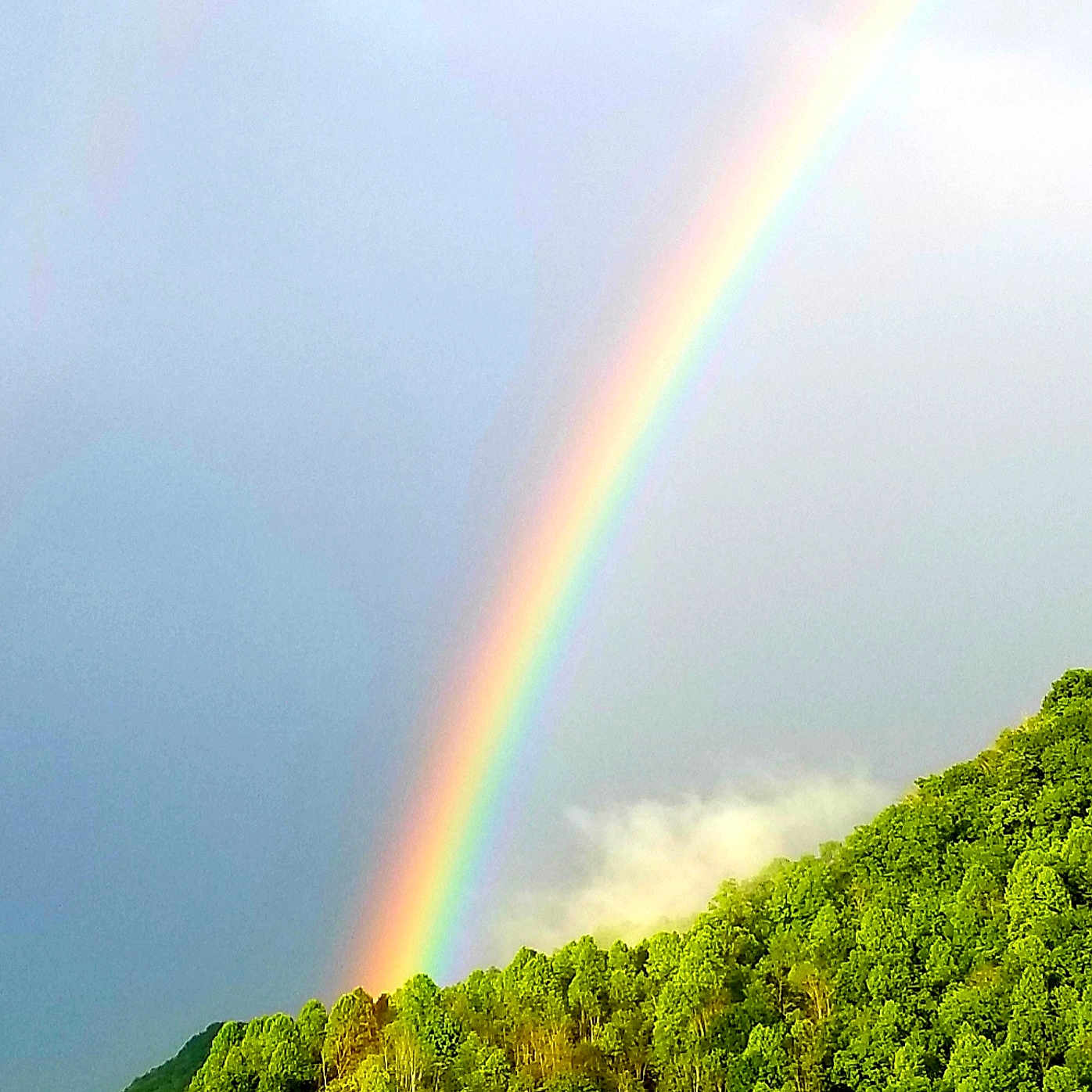Tess joined the competition — help win amazing prizes! cloud, grassland, green, highland, hill, hill_station, landscape, meteorological_phenomenon, mountain, natural_landscape, nature, plant, rainbow, ridge, sky, tree, vegetation