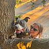 D.o.g. is registered to the contest to win money with this photo: dog, person, tree, branch, sunlight, outdoor, smiling, sunglasses, happy, nature, leaves, shadow, daylight, canine, pet, portrait, closeup, animal, friendship, warm_light