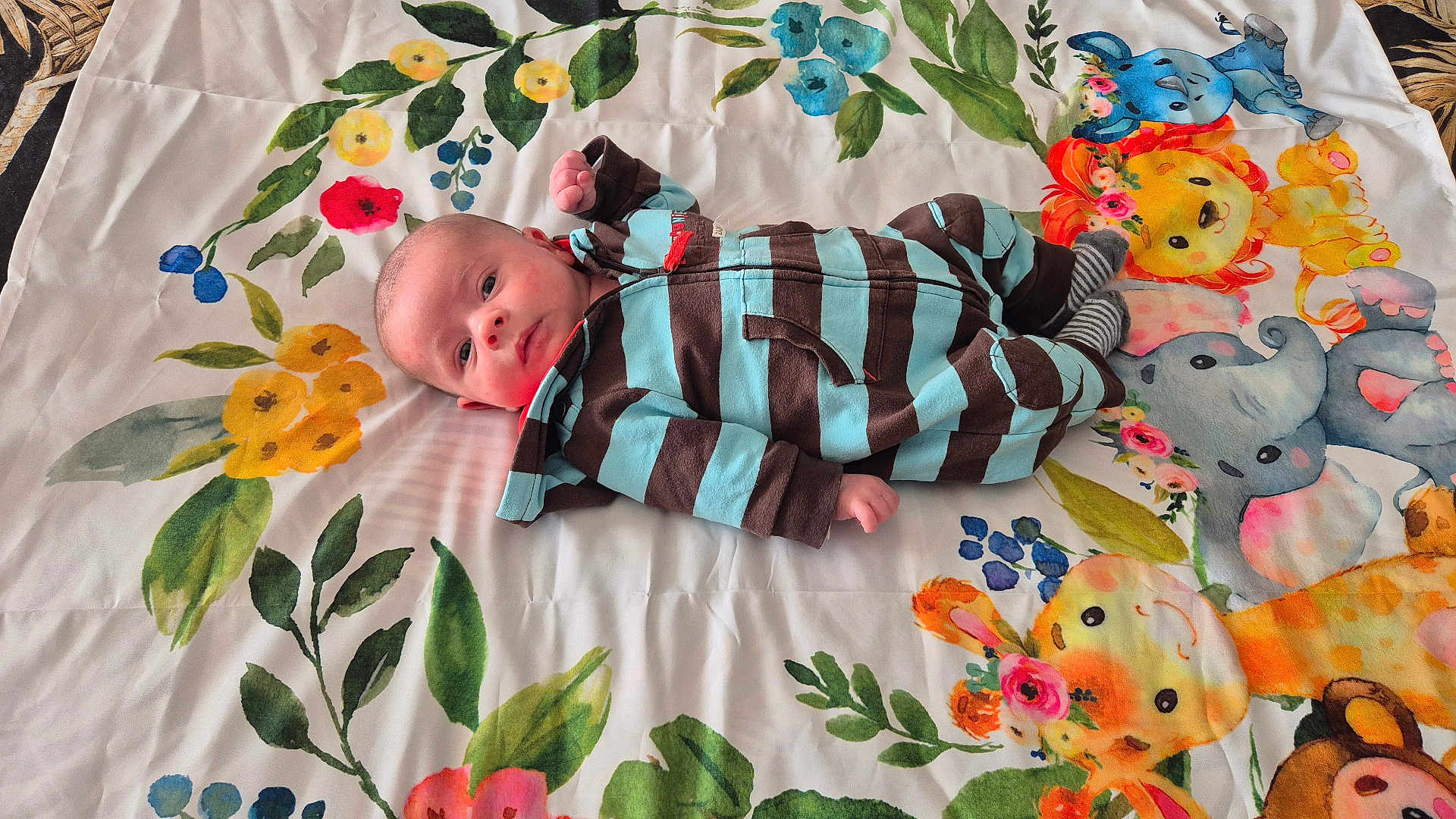Aléssio a rejoint le concours — aidez-le/la à gagner de superbes lots ! baby, infant, striped_clothing, lying_down, blanket, floral_pattern, cartoon_animals, giraffe, elephant, lion, blue, brown, pink, green, yellow, face, person, cute, child, indoors