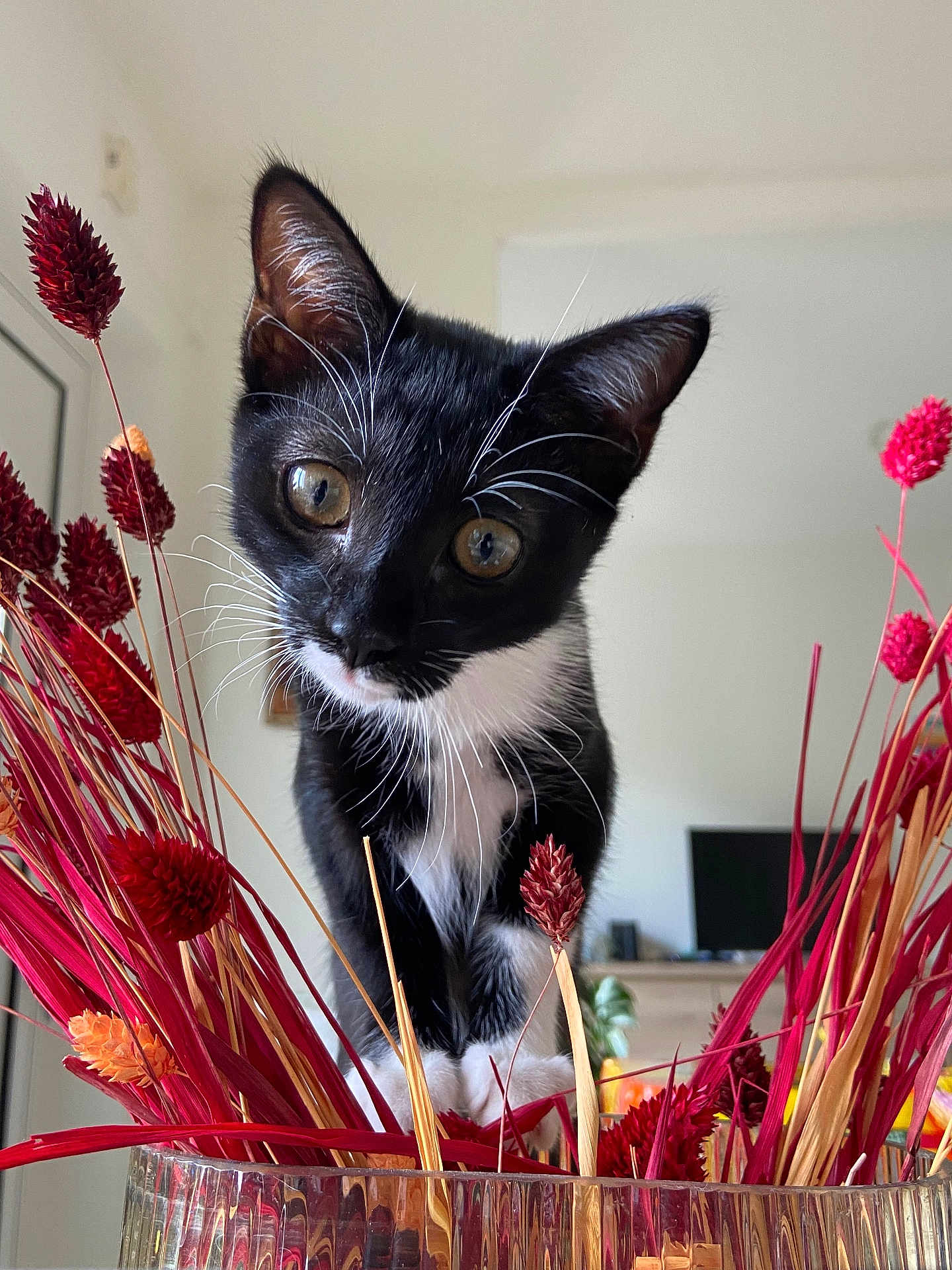Suzie