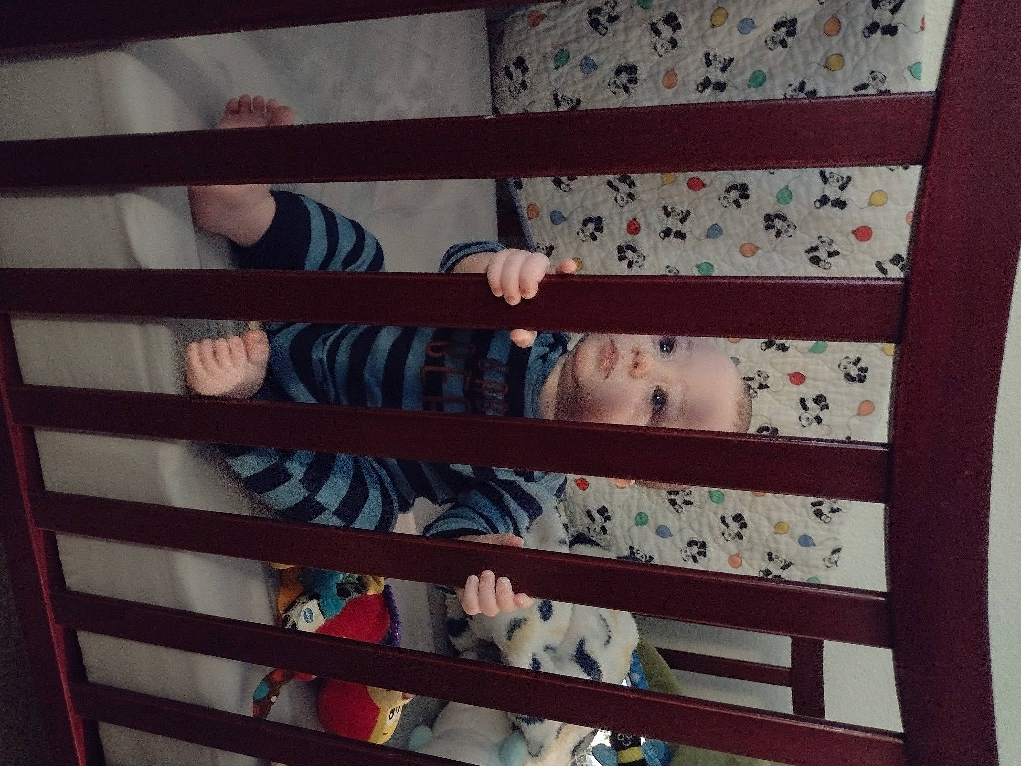 Draco is registered to the contest to win money with this photo: carmine, creative_arts, hardwood, linens, metal, pattern, peach, person, rectangle, room, shelf, shelving, textile, tints_and_shades, wood