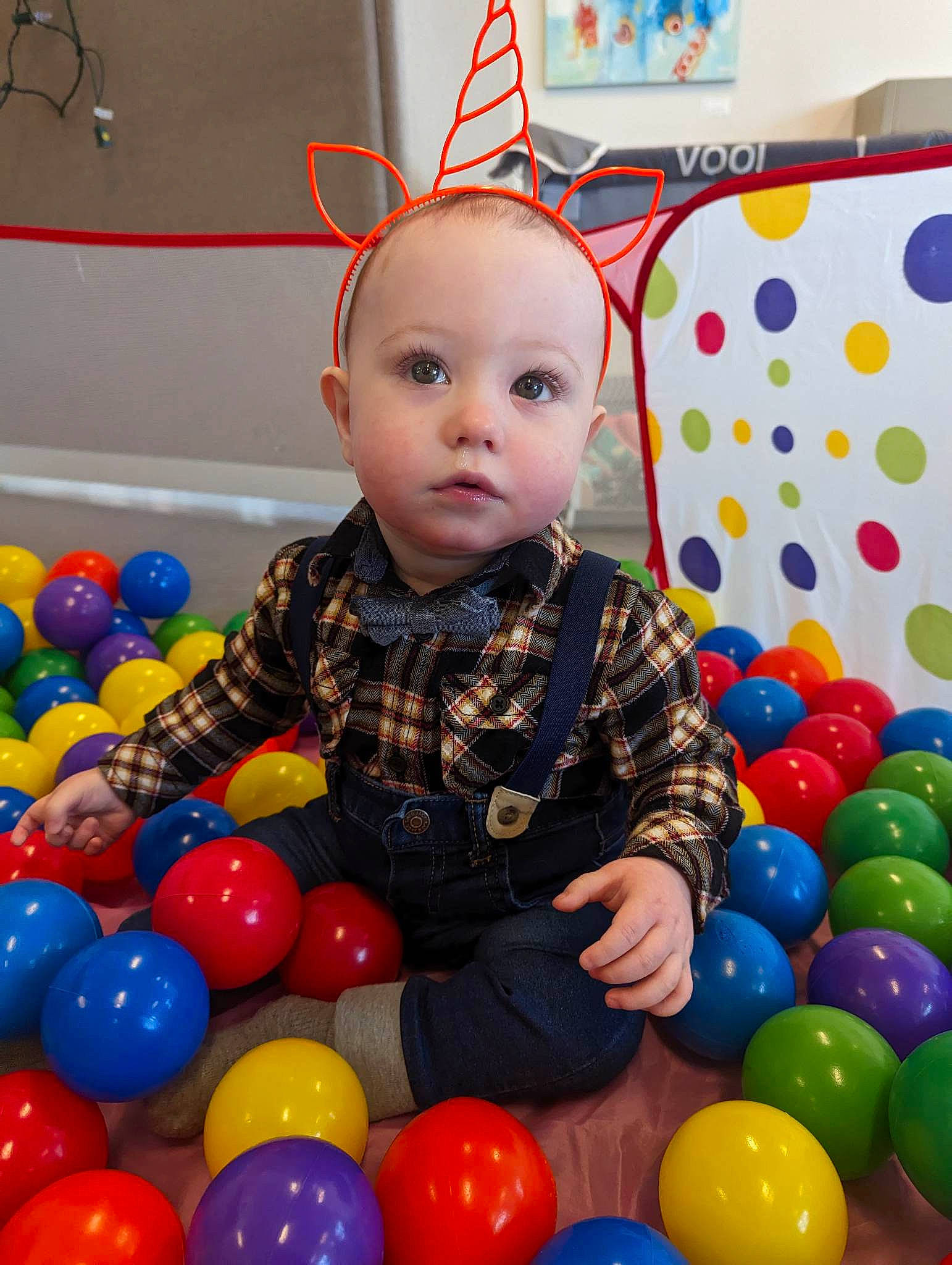 Draco is registered to the contest to win money with this photo: baby, baby_playing_with_toys, ball, ball_pit, child, electric_blue, event, facial_expression, fun, happy, leisure, party_supply, people, person, photograph, play, room, smile, snapshot, toddler