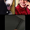 dog, woman, man, face, portrait, video_call, split_screen, selfie, smiling, tongue, glasses, indoors, car, vehicle, home, conversation, pet, people, vertical_layout, black_background