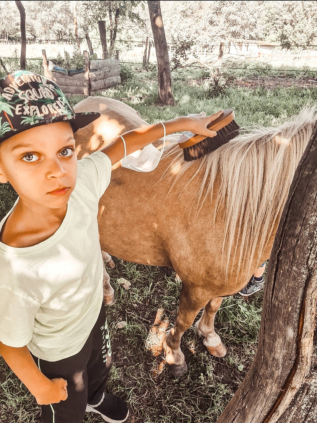 Kayron a rejoint le concours — aidez-le/la à gagner de superbes lots ! adaptation, bridle, cap, fawn, fun, grass, happy, headwear, horse, horse_supplies, horse_tack, landscape, liver, livestock, mane, pack_animal, people_in_nature, person, sorrel, terrestrial_animal