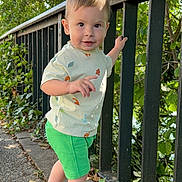 Ethan participe au concours pour gagner de l'argent avec cette photo : casual_clothing, child, curious, daylight, dinosaur_shirt, green_shorts, ivy, leaves, metal_railing, nature, outdoor, pathway, person, shoes, smiling, sunlight, toddler, trees, walking, young