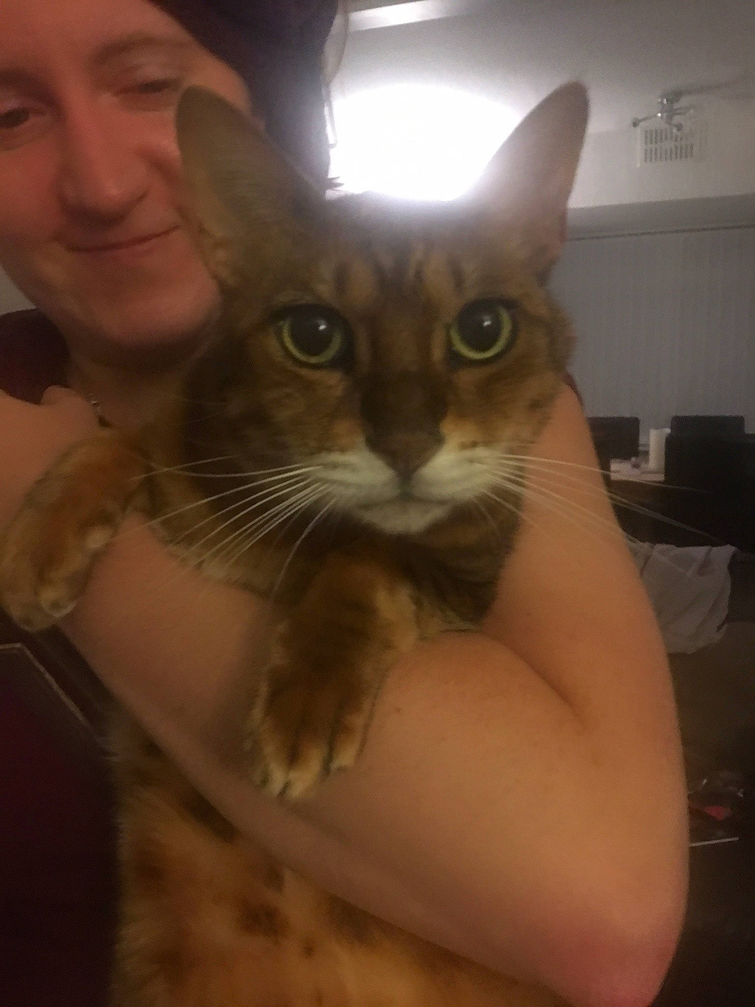 Arnold is registered to the contest to win money with this photo: