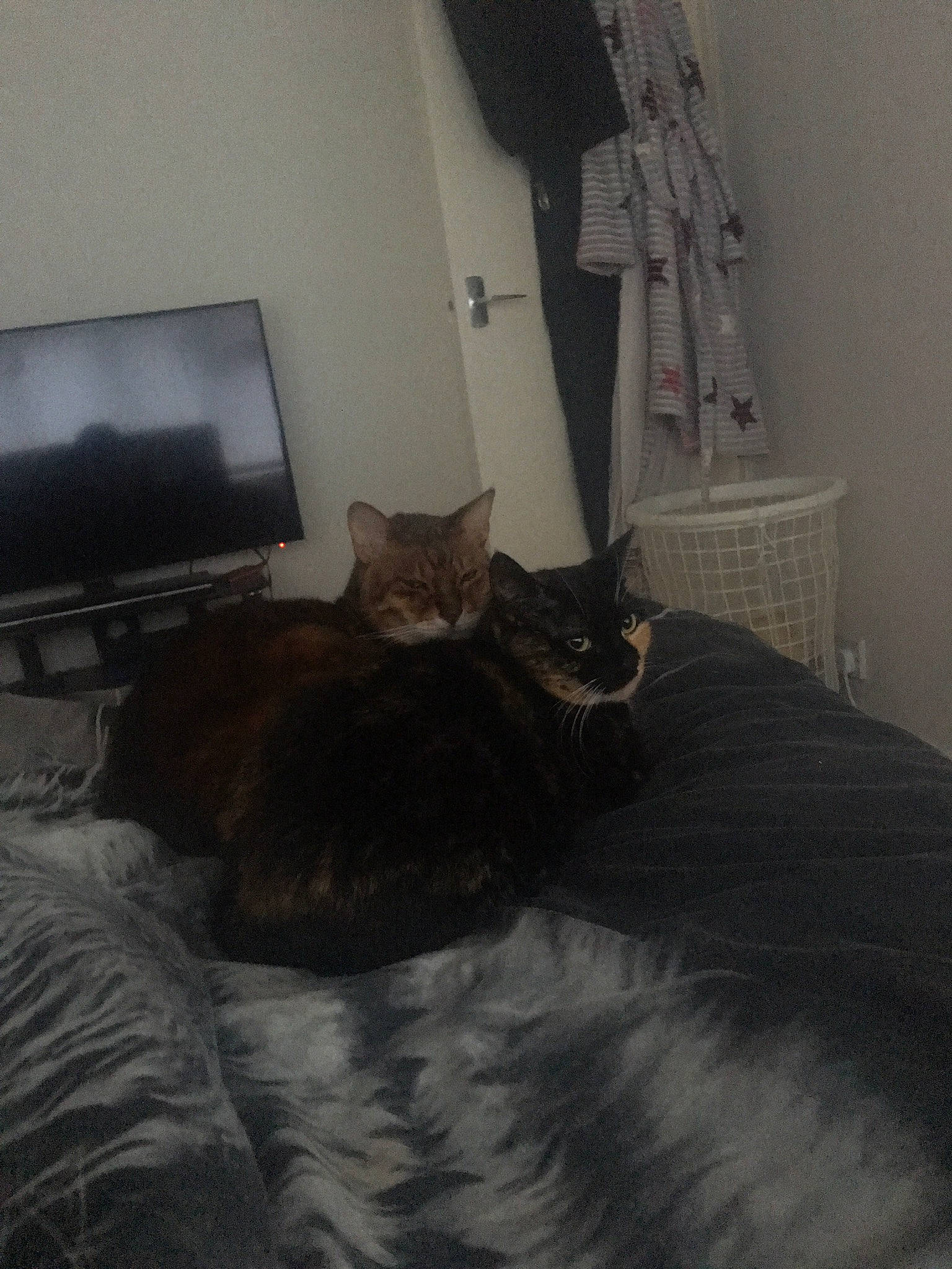 Arnold is registered to the contest to win money with this photo: