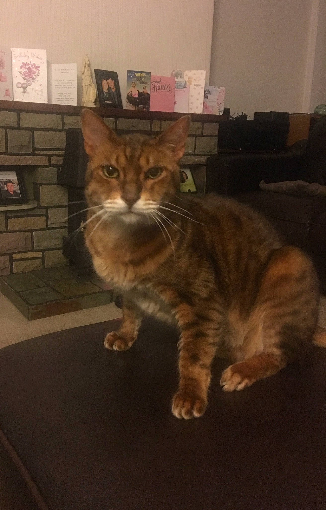 Arnold is registered to the contest to win money with this photo: