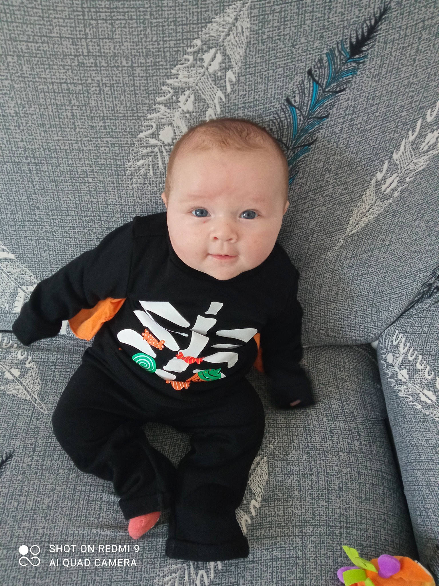 Zoé participe au concours pour gagner de l'argent avec cette photo : baby, baby_products, baby_toddler_clothing, carmine, child, eye, flooring, grass, grey, happy, head, leg, pattern, person, plant, sitting, sleeve, suit, t_shirt, toddler