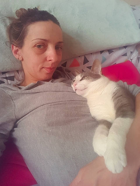 Frippon participe au concours pour gagner de l'argent avec cette photo : bed, carnivore, cat, comfort, companion_dog, couch, domestic_short_haired_cat, eye, felidae, fur, gesture, happy, lap, linens, room, sitting, skin, small_to_medium_sized_cats, textile, whiskers