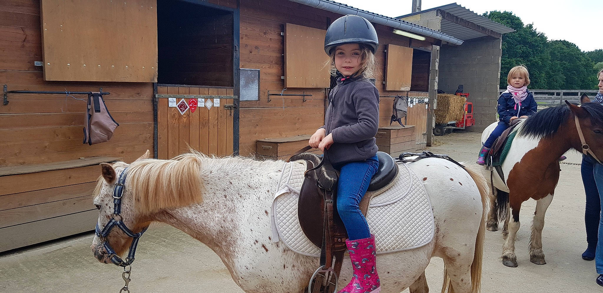 Solarah participe au concours pour gagner de l'argent avec cette photo : animal_sports, bridle, english_riding, equestrian_sport, equestrianism, equitation, halter, headwear, horse, horse_supplies, horse_tack, mammal, mane, mare, pack_animal, person, recreation, rein, riding_instructor, saddle