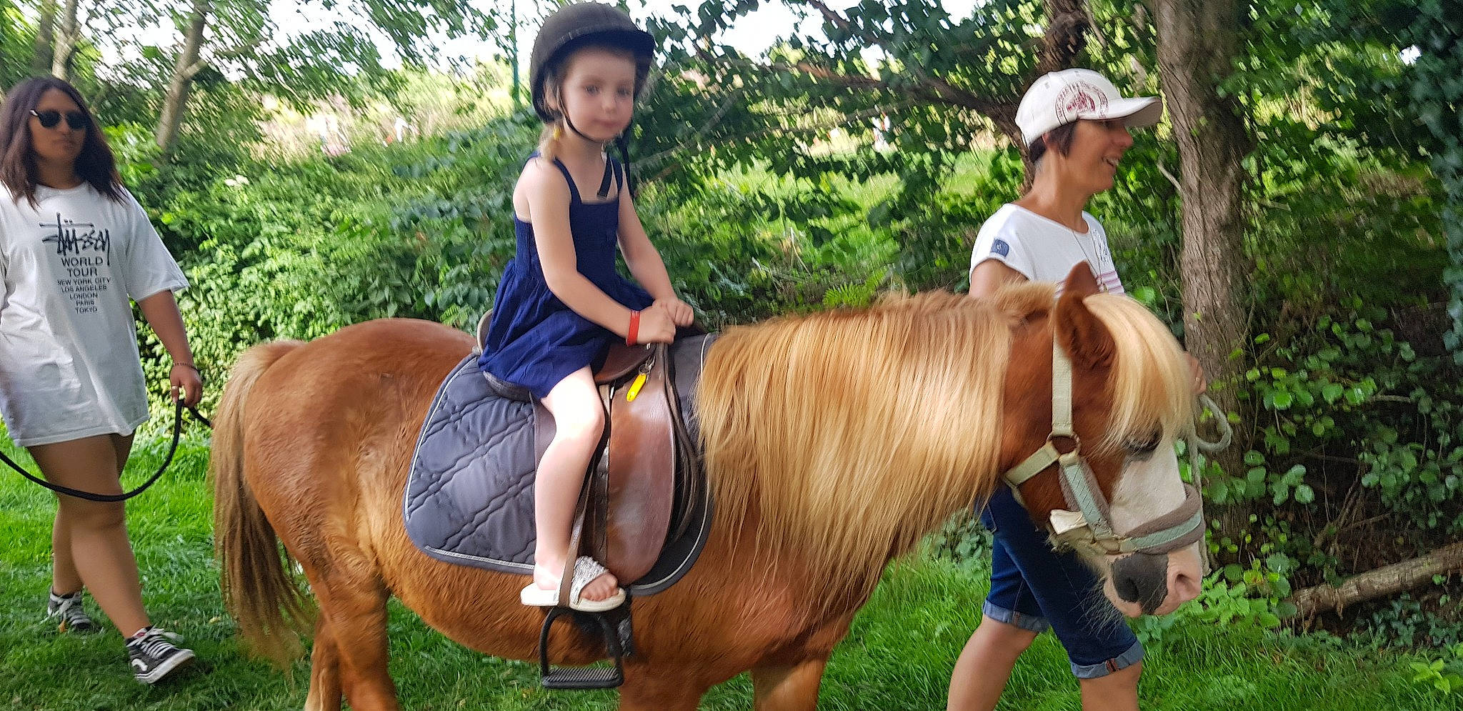 Solarah a rejoint le concours — aidez-le/la à gagner de superbes lots ! animal_sports, bridle, equestrian_sport, equestrianism, horse, horse_supplies, horse_tack, mammal, mane, mare, organism, person, pony, recreation, rein, riding_instructor, shetland_pony, stallion, trail_riding, vertebrate