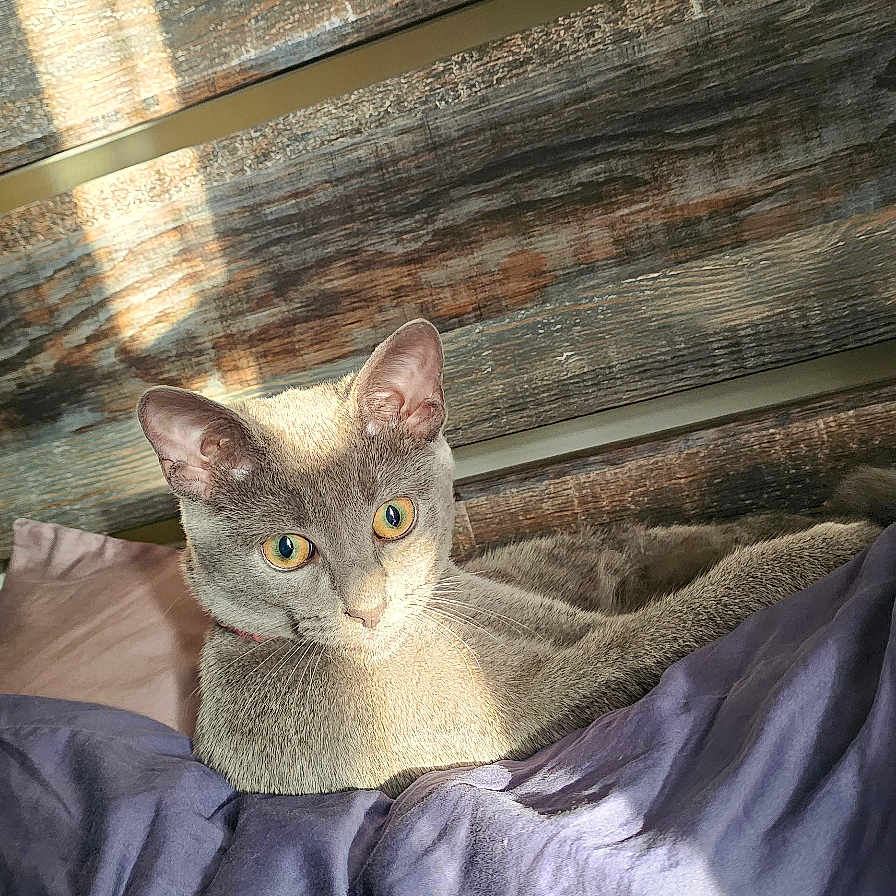 Rita